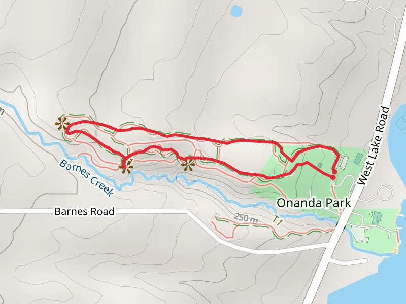 Onanda Park Uplands Trail