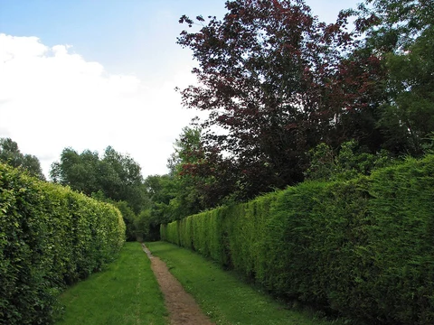 L-Moor , Shepreth Loop