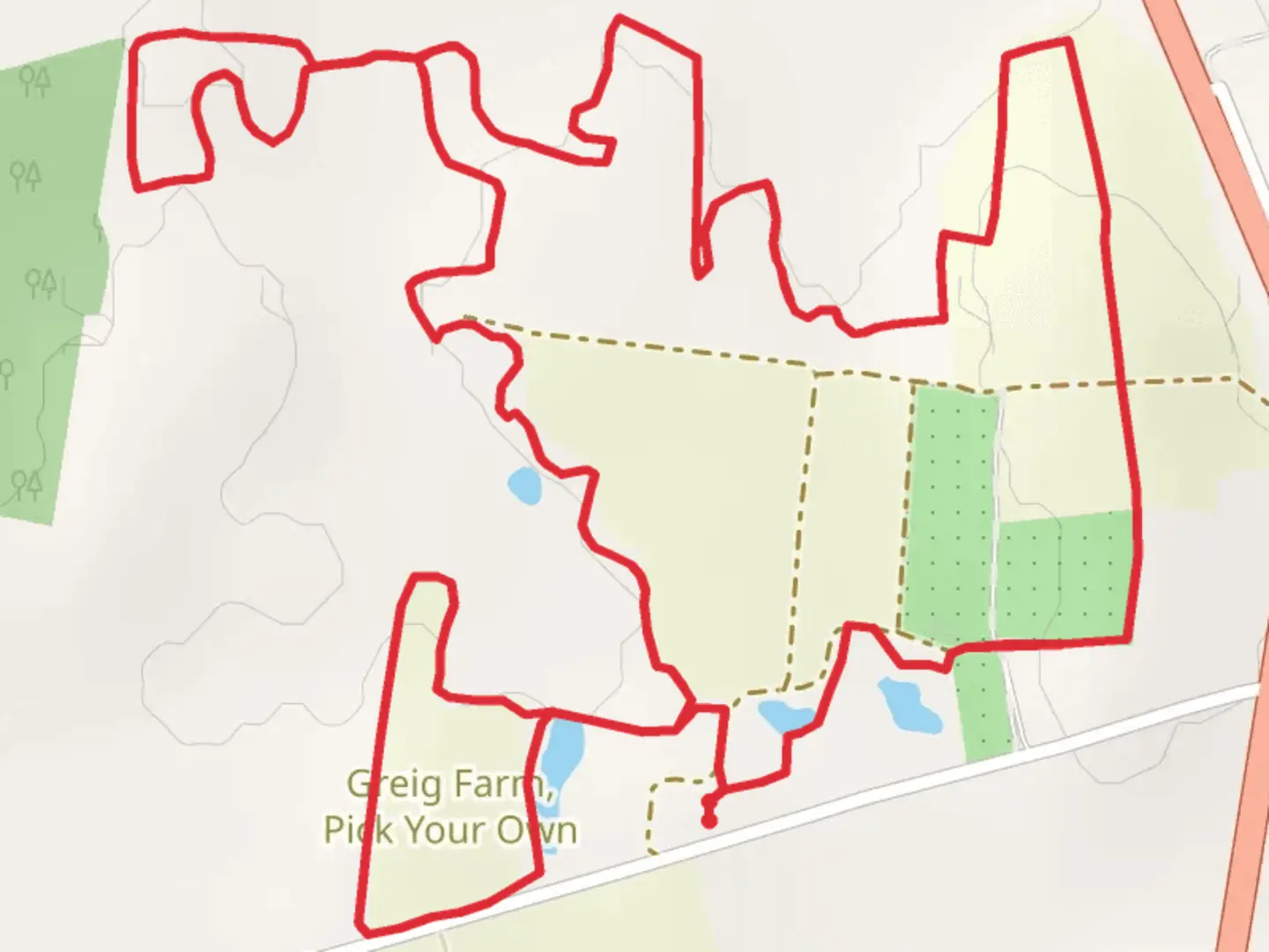 An image depicting the trail Pitcher Lane Loop and its surrounding area.