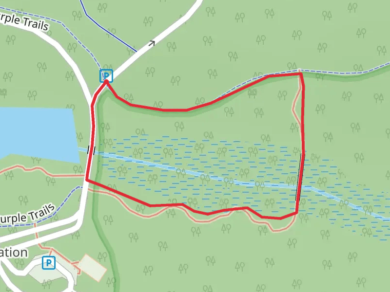 Absegami Silver Loop Trail