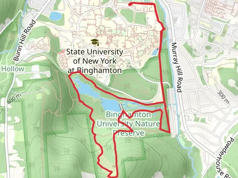 Harpur Lake and Field Loop Trail