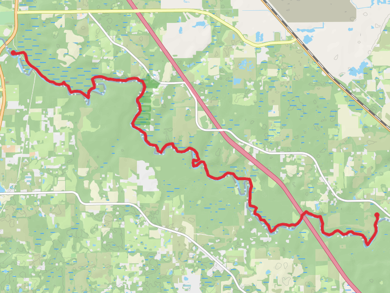 Suwannee River Trail - Jim Mike Hill