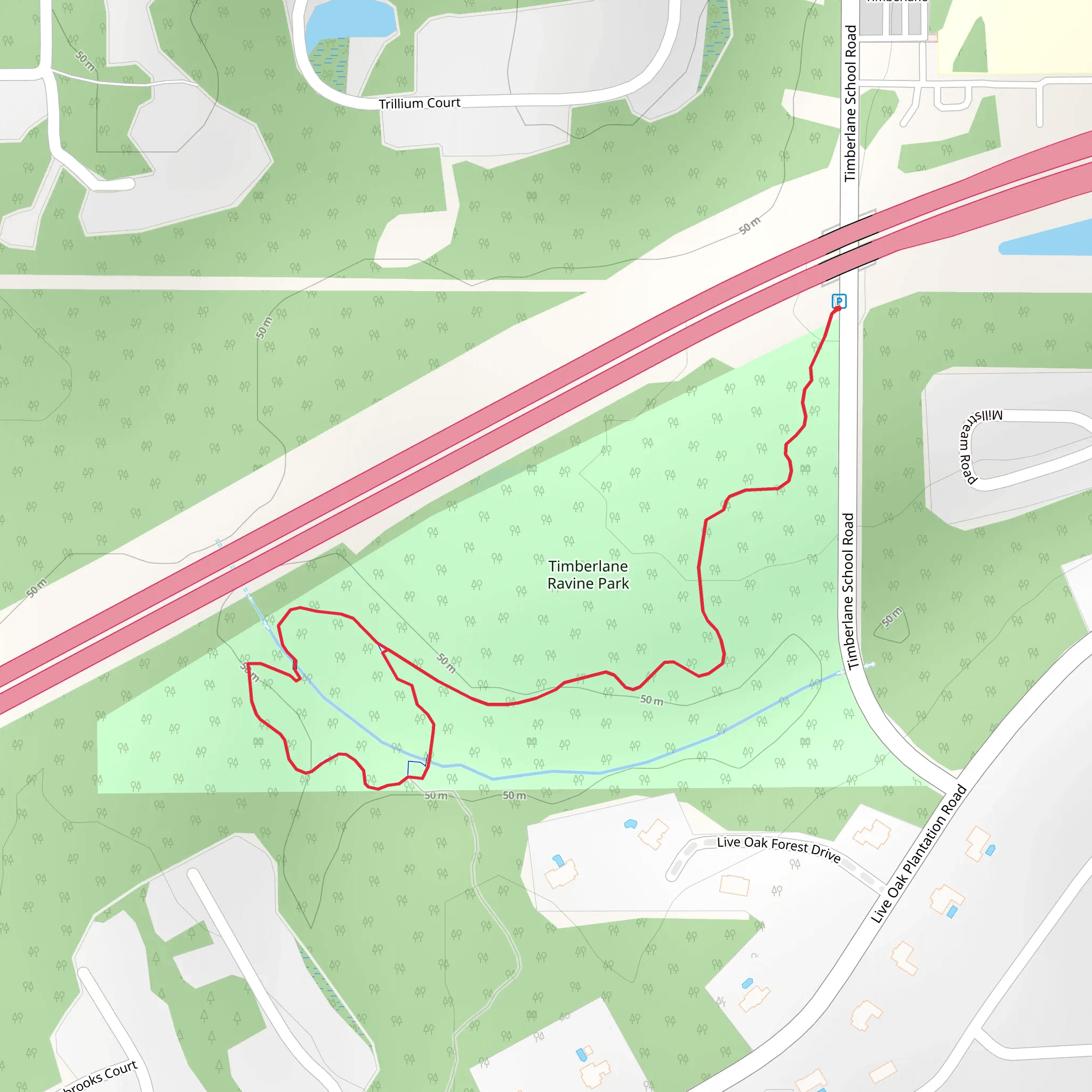 Timberlane Ravine Park Loop | Leon County | Florida