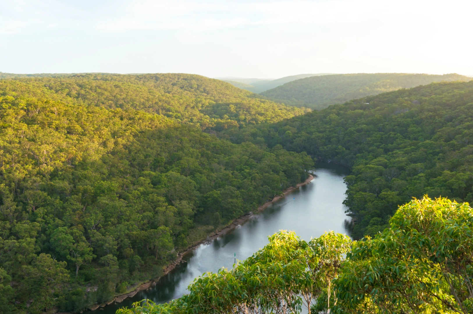An image depicting the trail Bungoona Lookout and Path and its surrounding area.