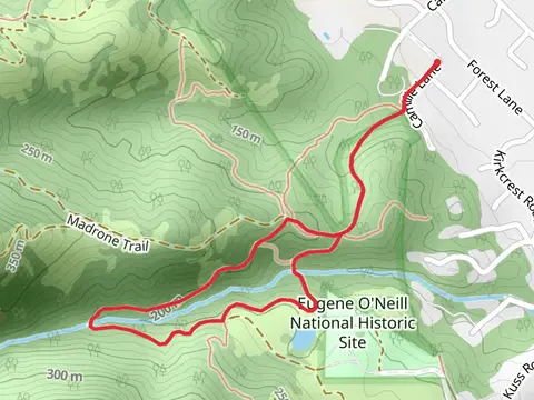Madrone - Virgil Williams Loop Trail