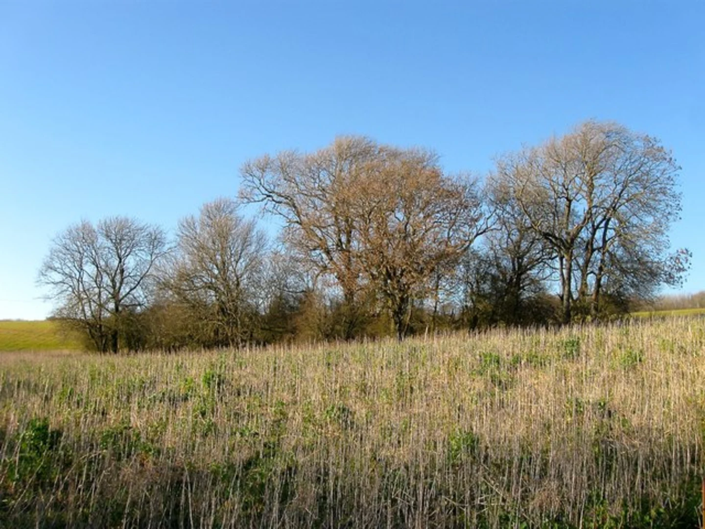 An image depicting the trail Highpark Wood and Film Heap Loop and its surrounding area.