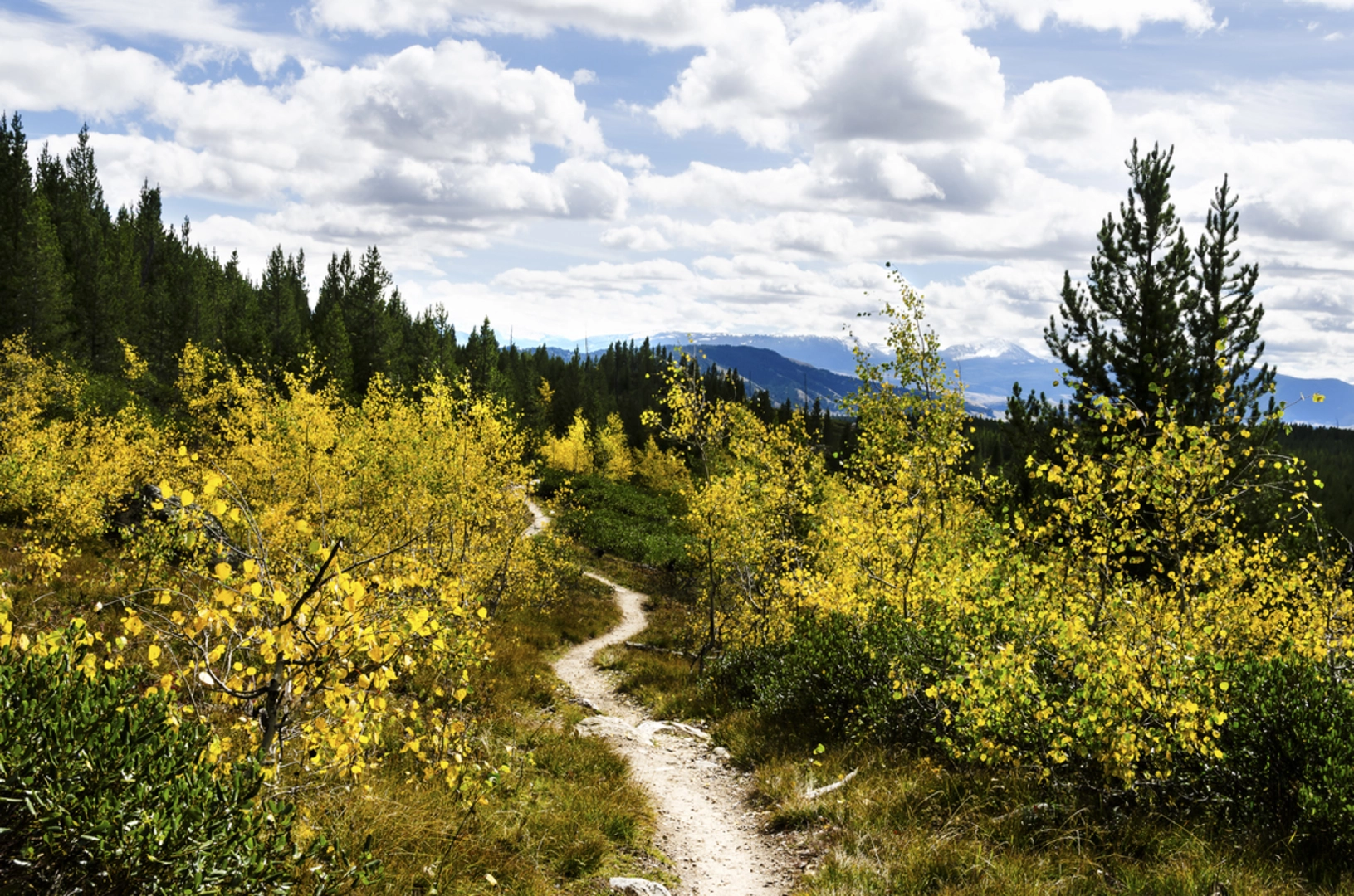 An image depicting the trail Taggart Lake Loop Trail and its surrounding area.