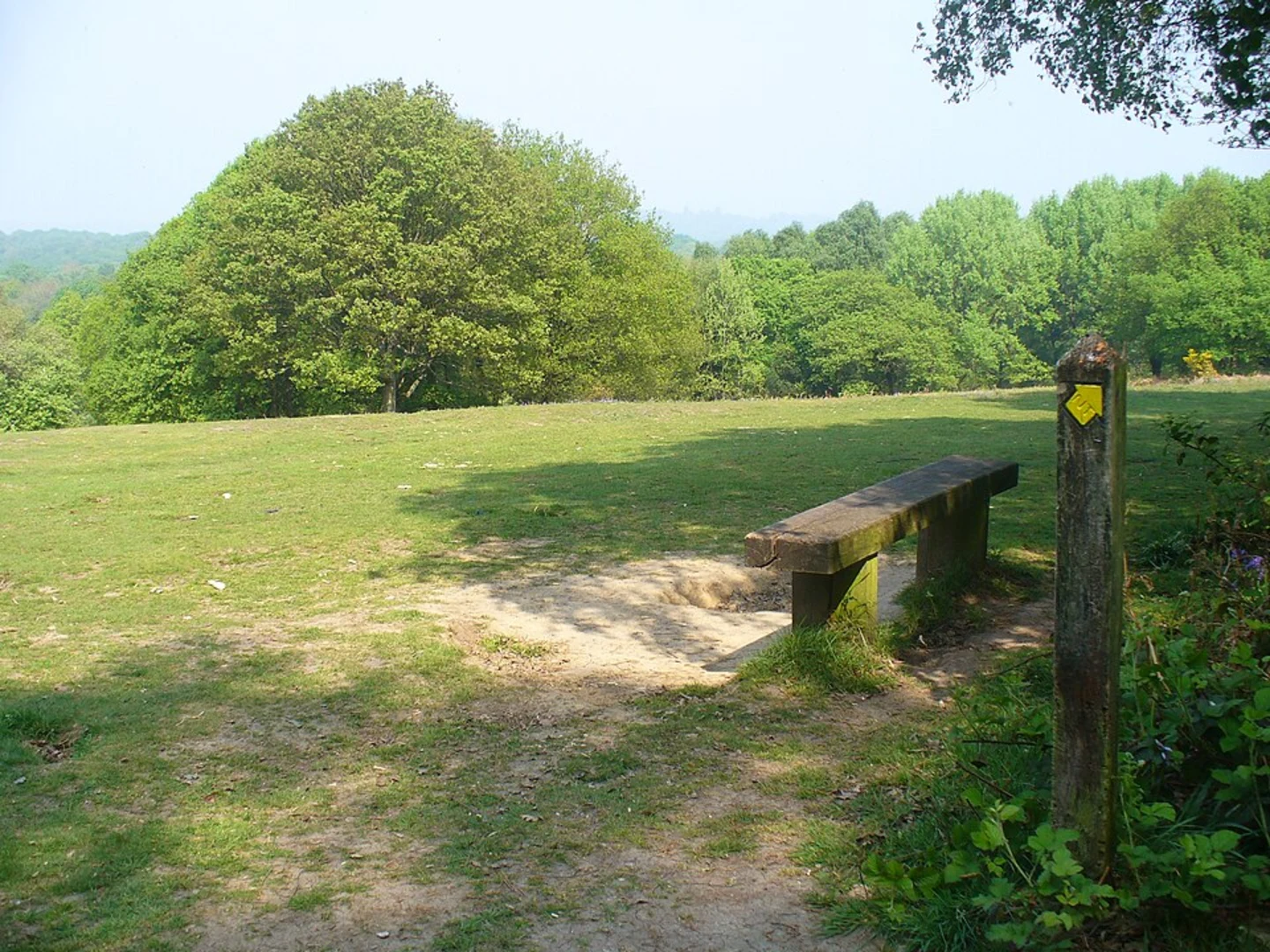 An image depicting the trail North Holmwood and Coldharbour Loop and its surrounding area.