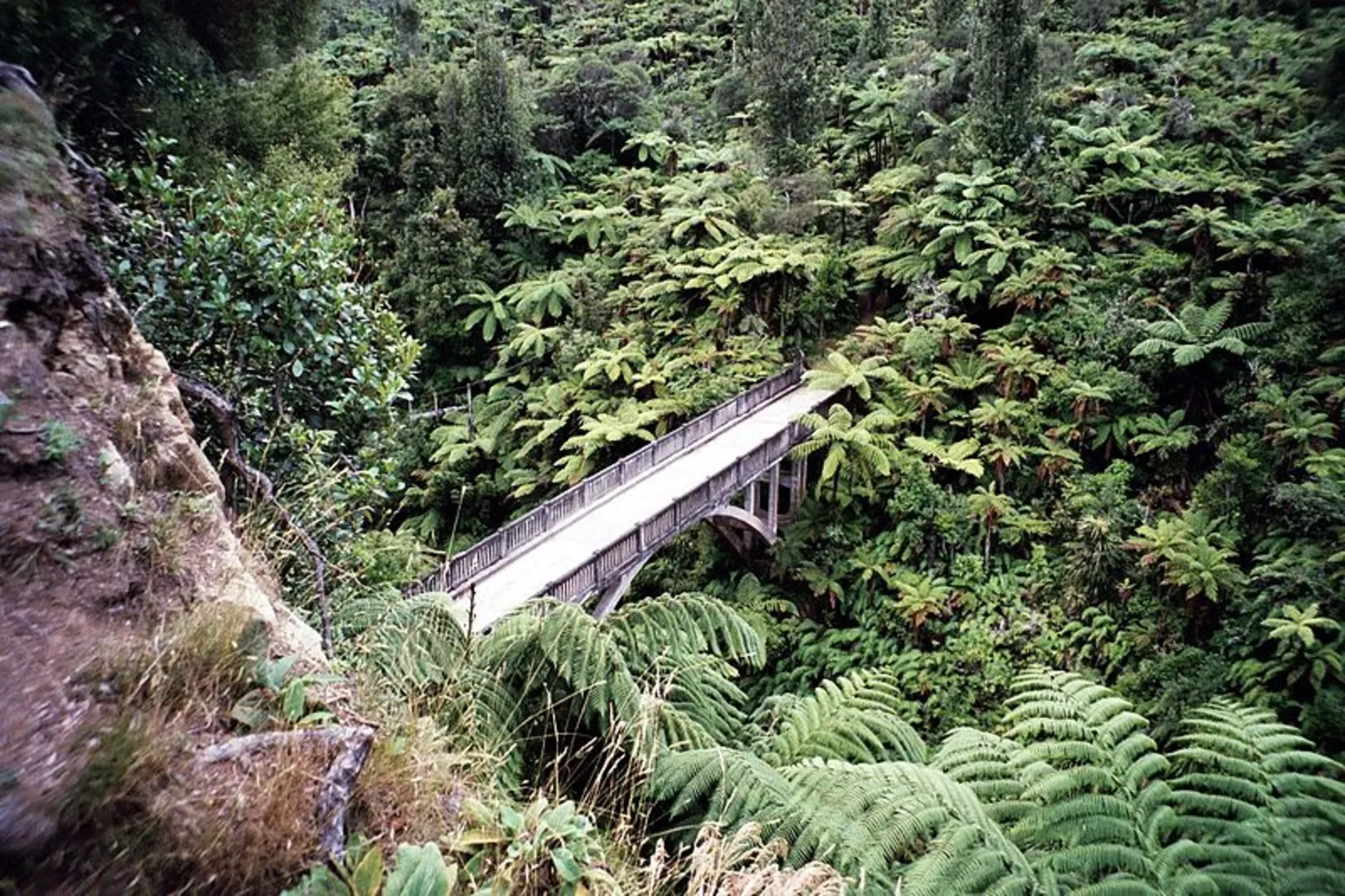An image depicting the trail Mangapurua Landing to the Bridge to Nowhere via Whanganui River and its surrounding area.
