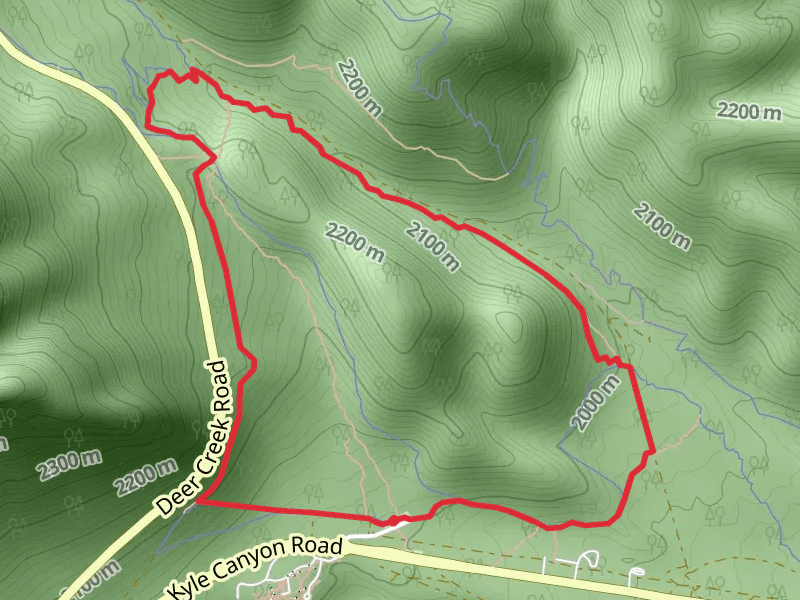 Shady Hollow and Step Ladder Loop