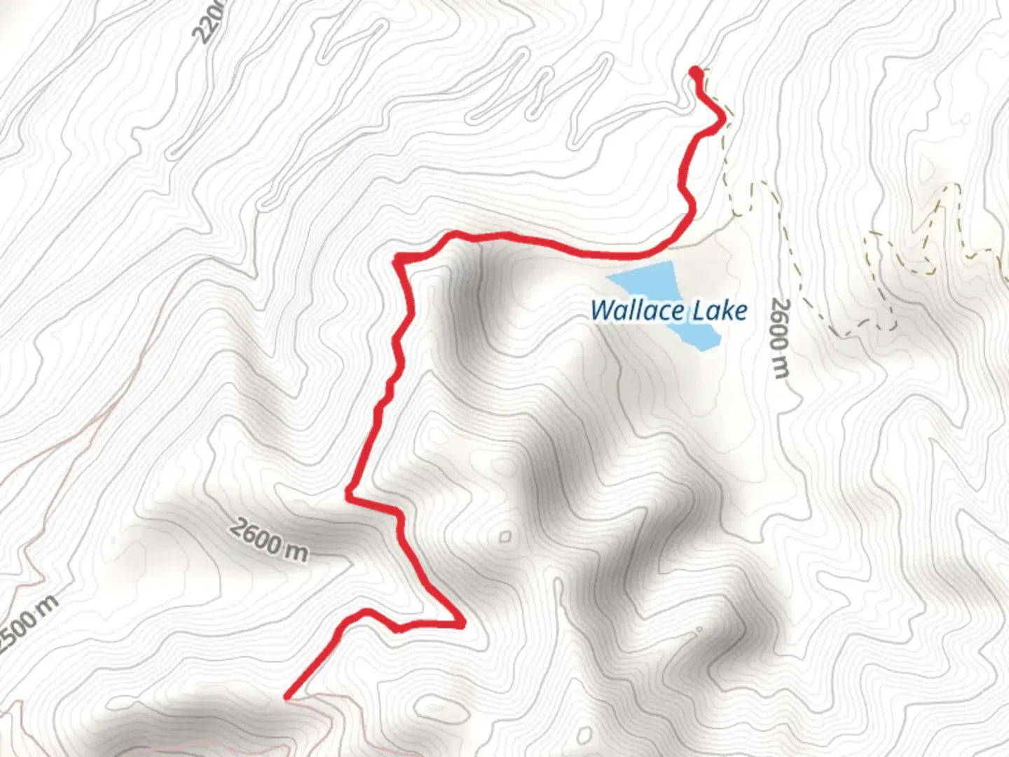 An image depicting the trail Wallace Lake Road and its surrounding area.