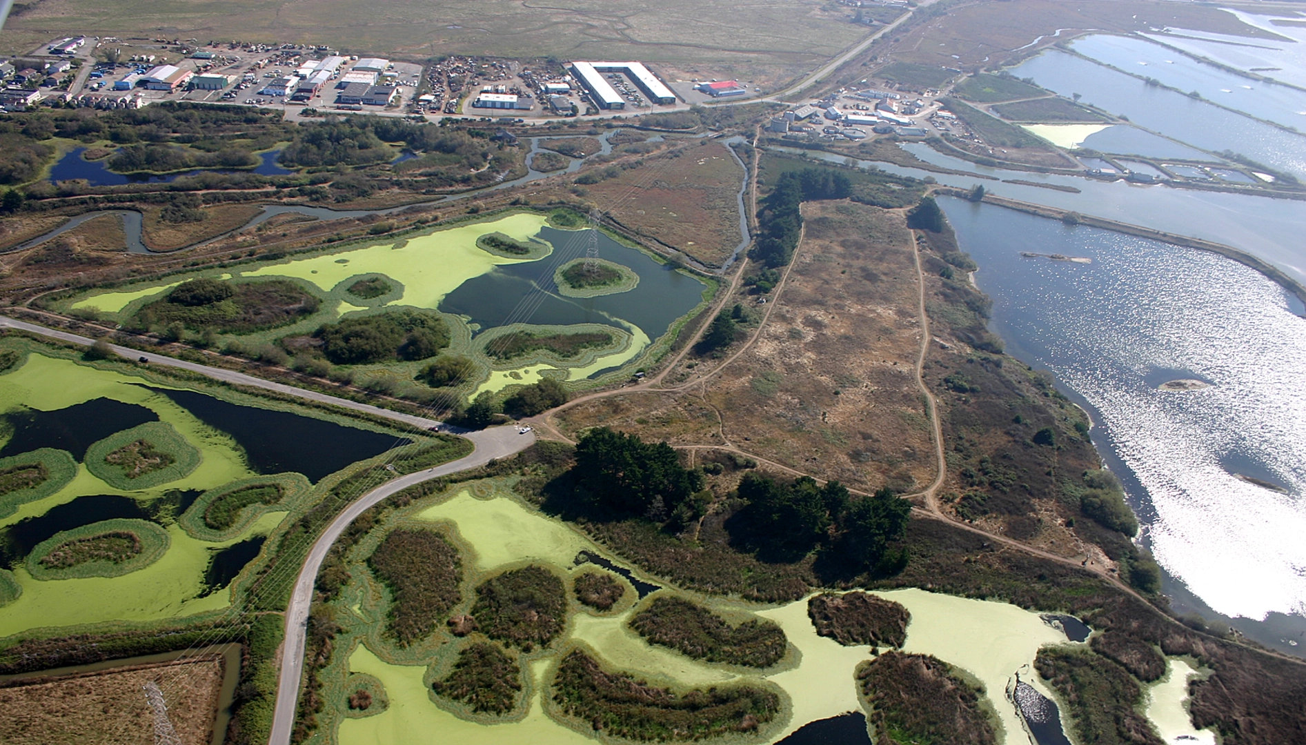 An image depicting the trail Butchers Slough Log Pond Loop and its surrounding area.