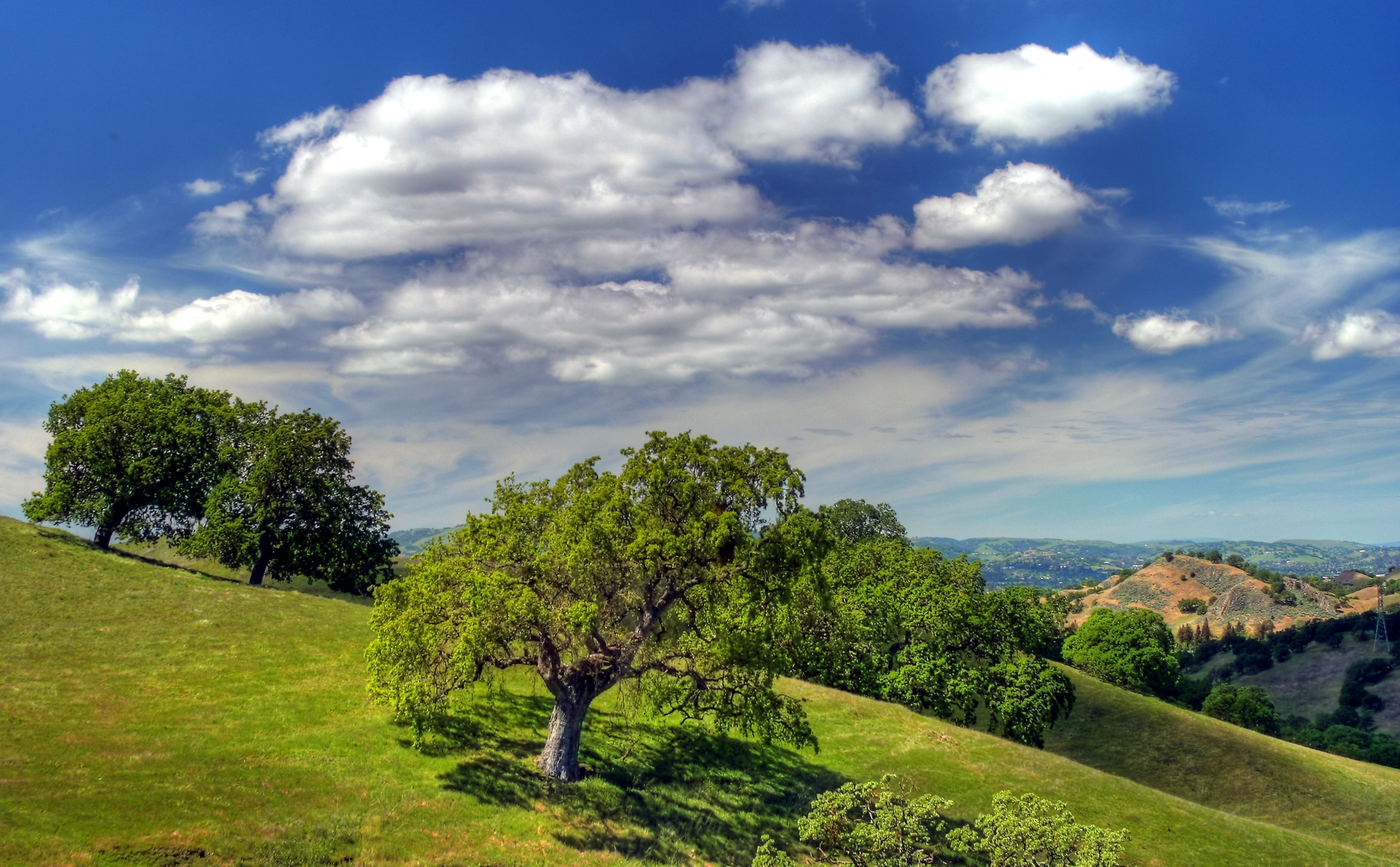 An image depicting the trail Briones to Mt Diablo Regional, Ridge Top and Kovar Loop Trail and its surrounding area.