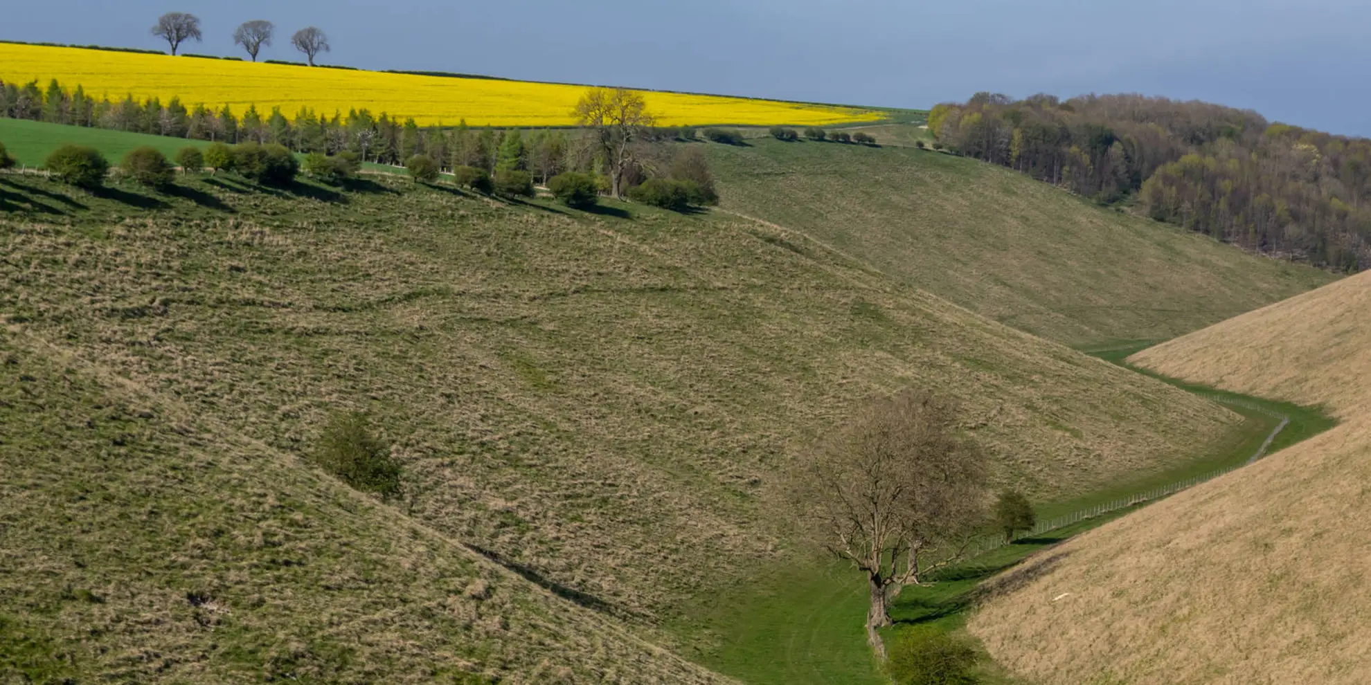 An image depicting the trail Pasture Dale - Frendal Dale and Horsedale from Huggate and its surrounding area.