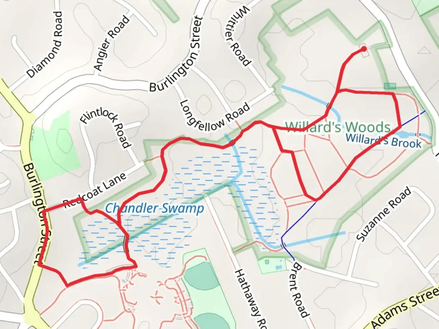 An image depicting the trail Willard Brook and Pond Loop and its surrounding area.