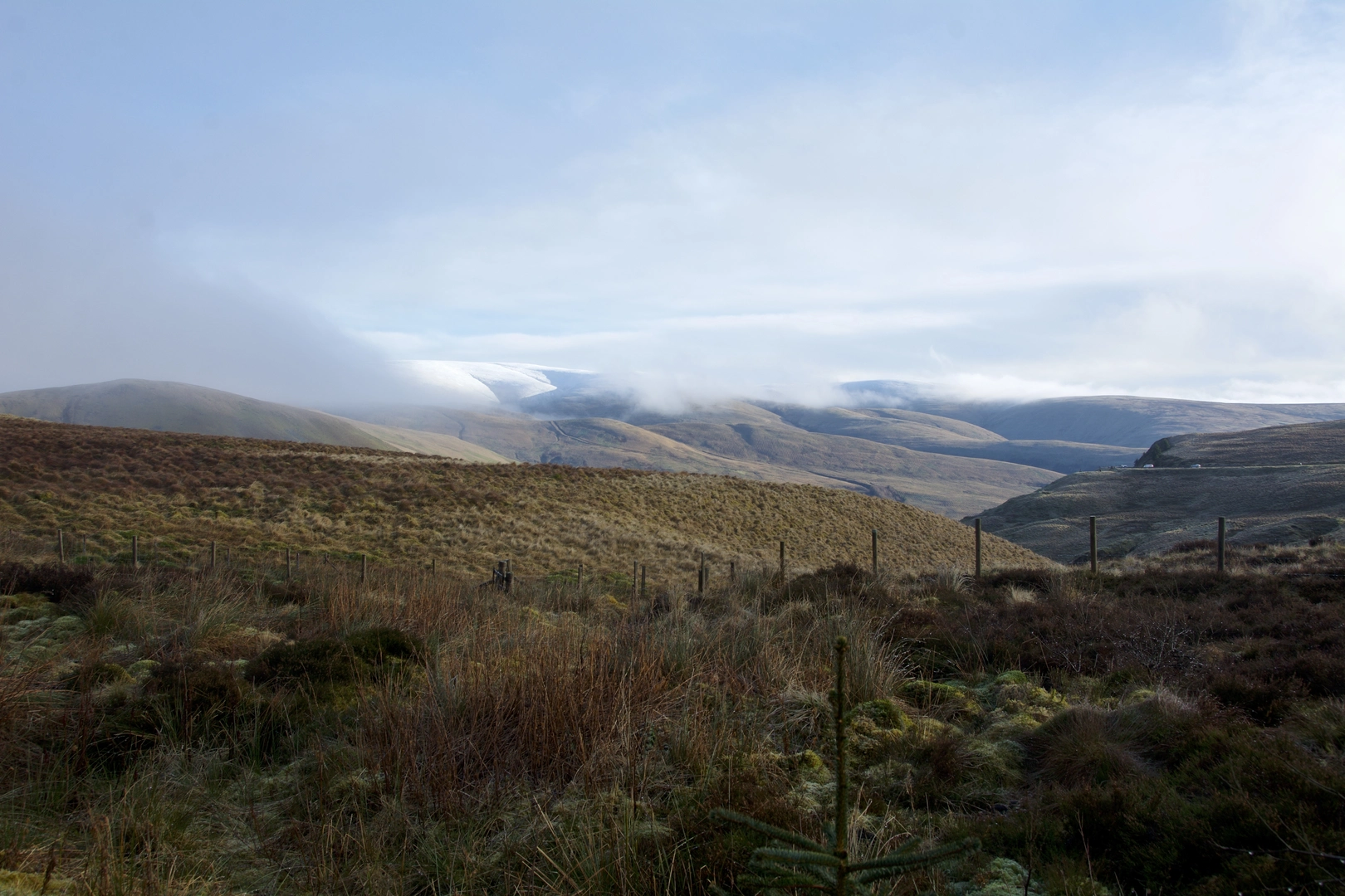 An image depicting the trail Annanhead Hill, Great Hill and Tweed Hope Loop and its surrounding area.