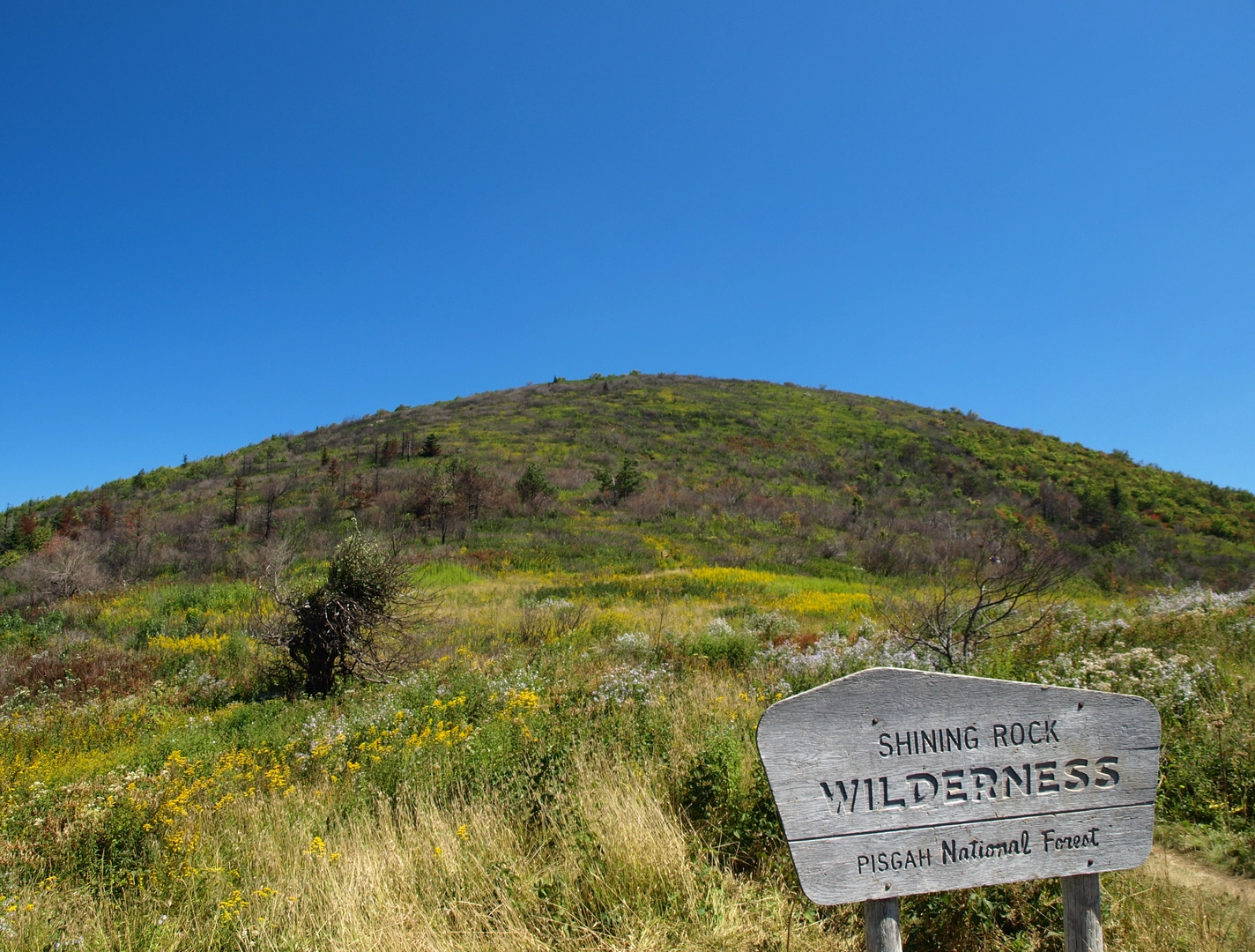 An image depicting the trail Art Loeb Trail and its surrounding area.