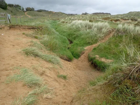 Merthyr Mawr Sand Dunes Walk