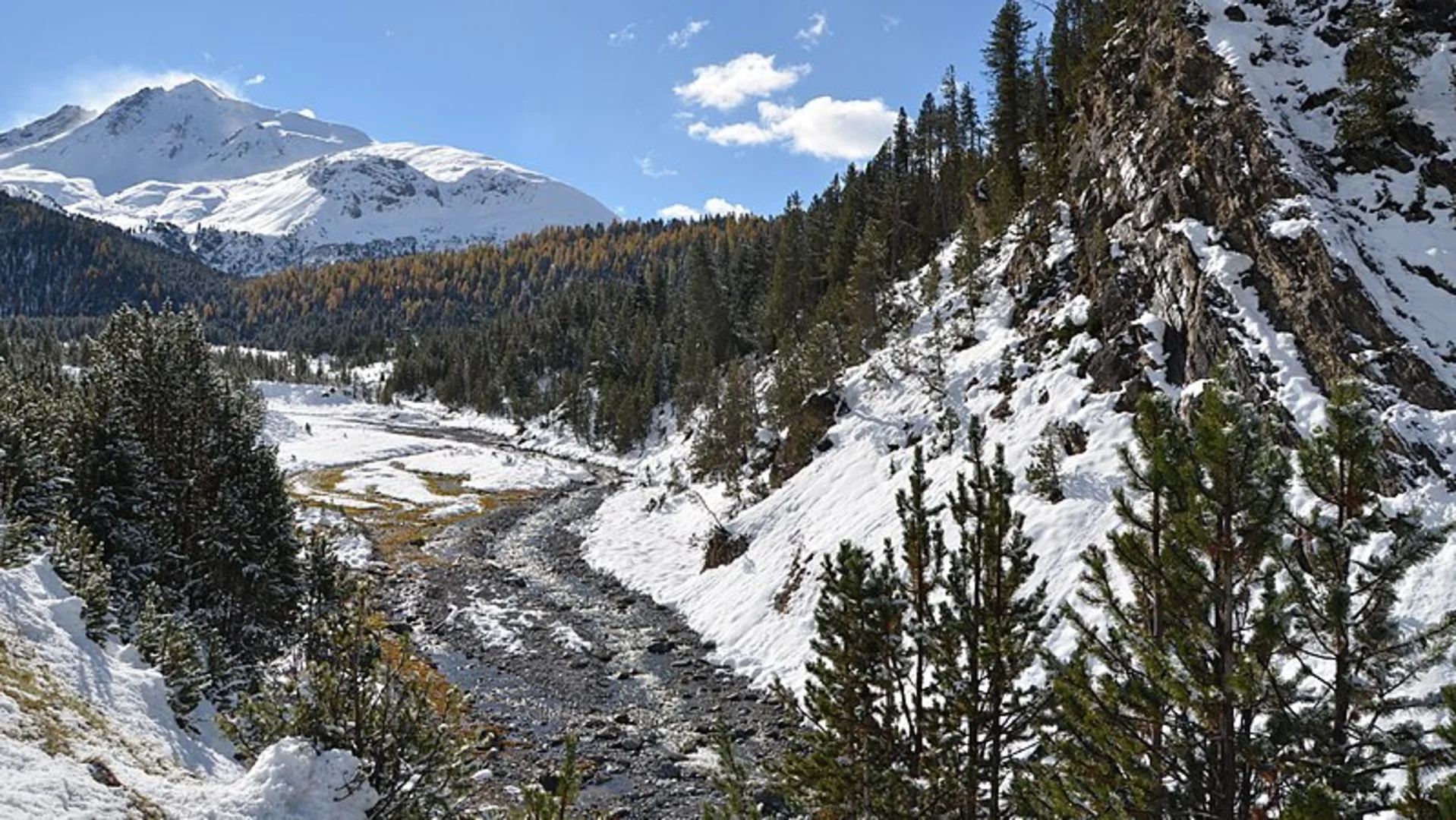 An image depicting the trail Champlönch and its surrounding area.