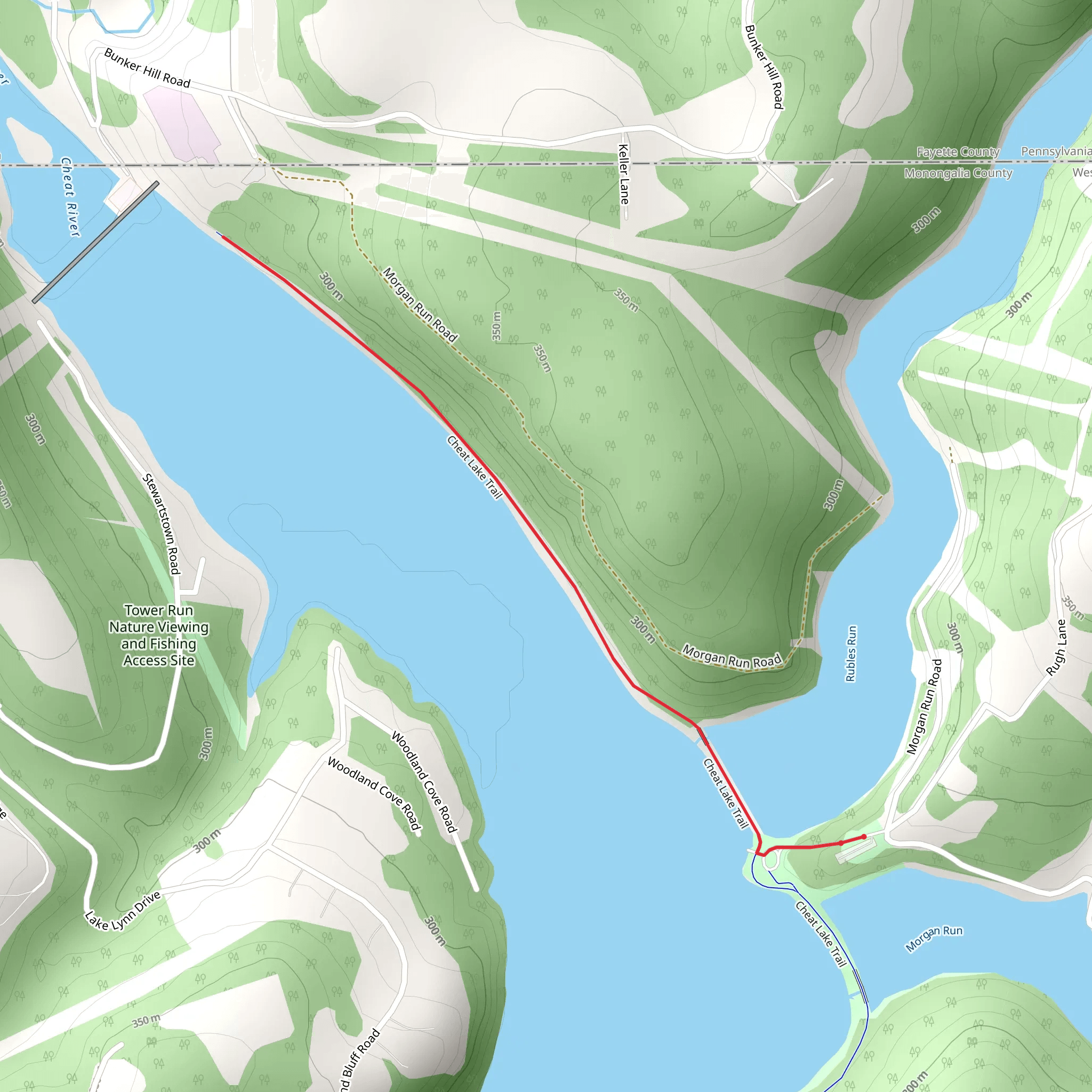 Cheat River mobile static map
