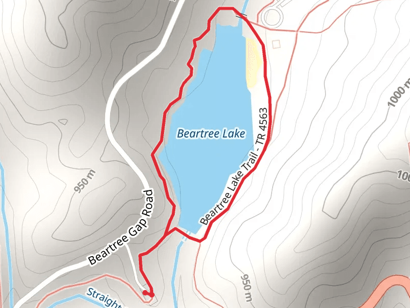 Beartree Lake Loop