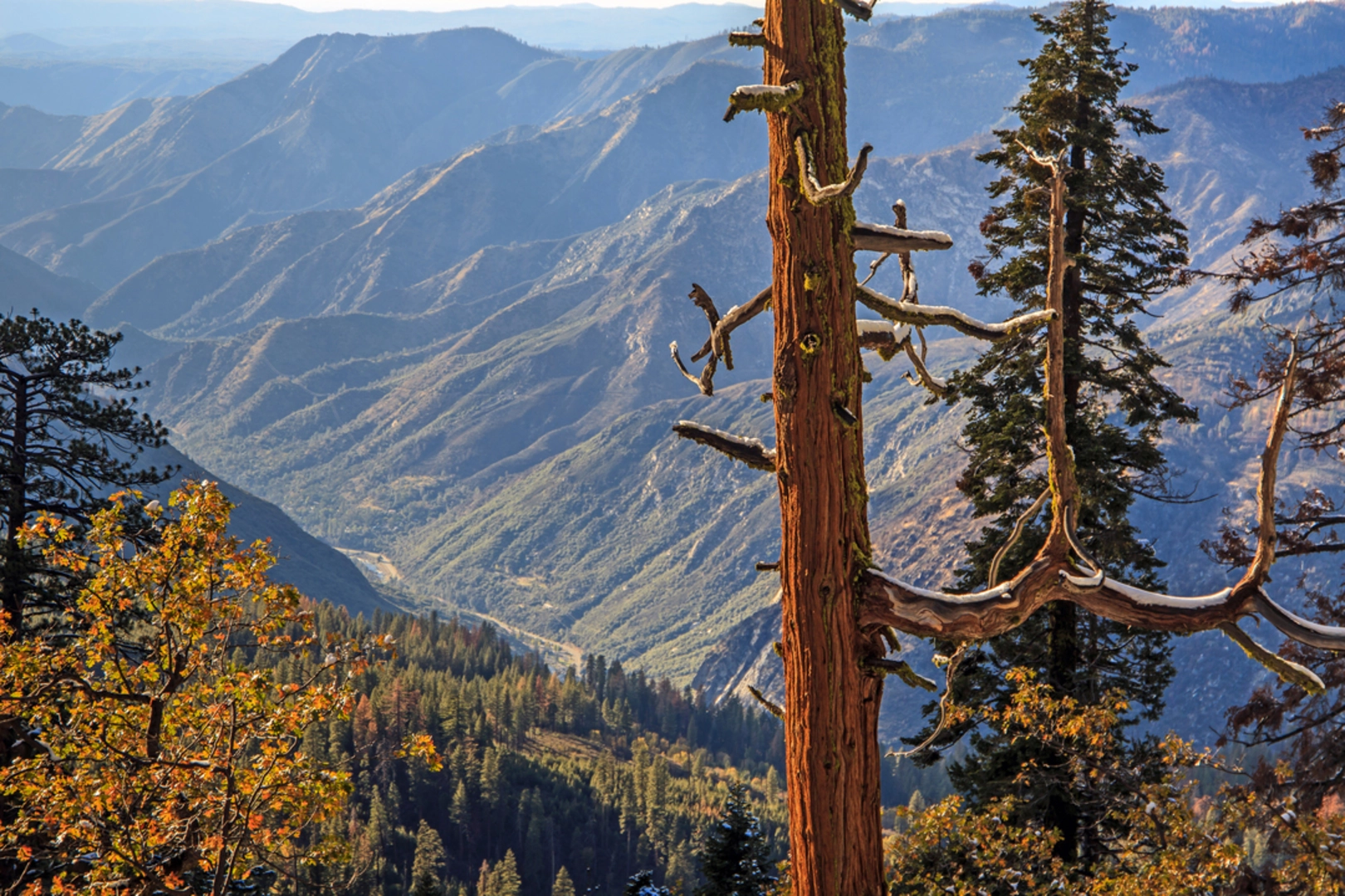 An image depicting the trail Box Spring - Chain Lakes Trail and its surrounding area.