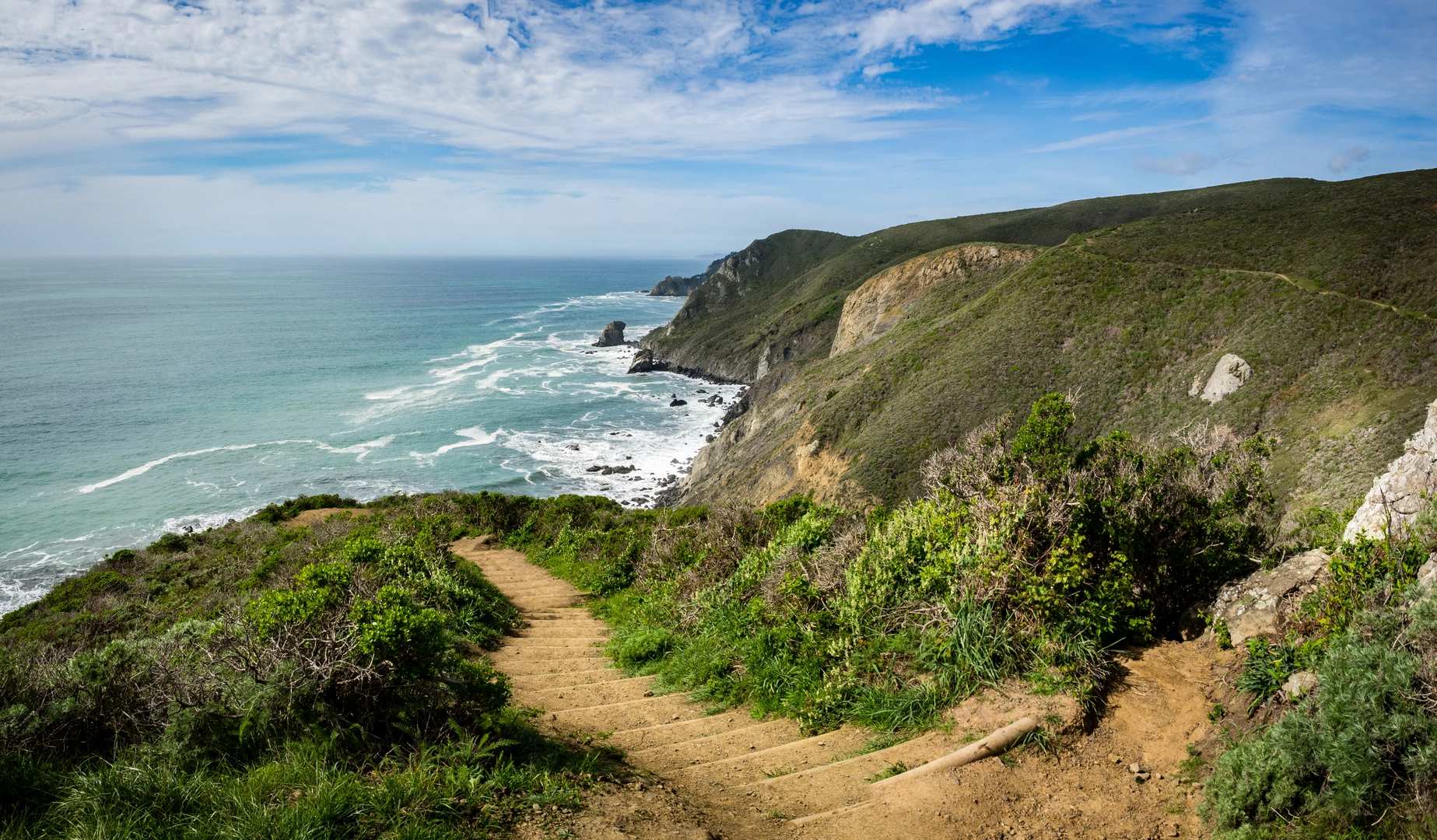 An image depicting the trail California Coastal Trail and Miwok Trail and its surrounding area.