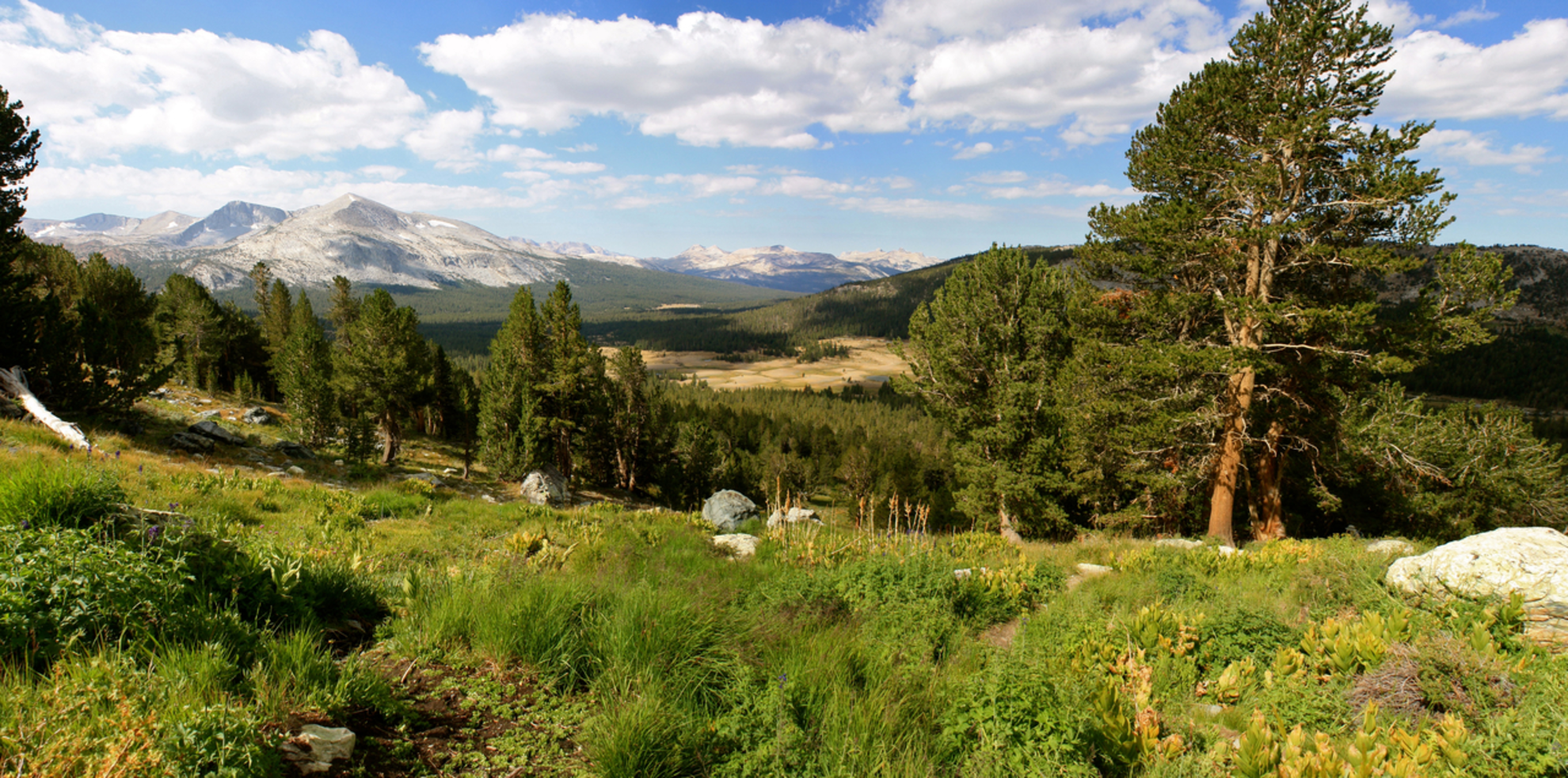 An image depicting the trail Golden Lake, Upper Trail Lake and Summit Lake via Ruby Lake Trail and its surrounding area.