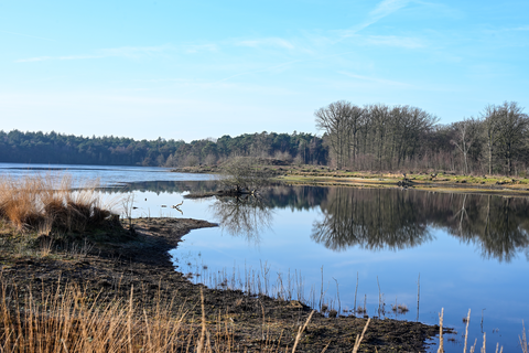Vughtse Heide, Loonse En Drunense Duinen and Kampina Loop