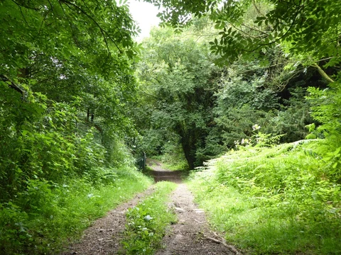 Walled Gaarden and Springpool Wood Loop