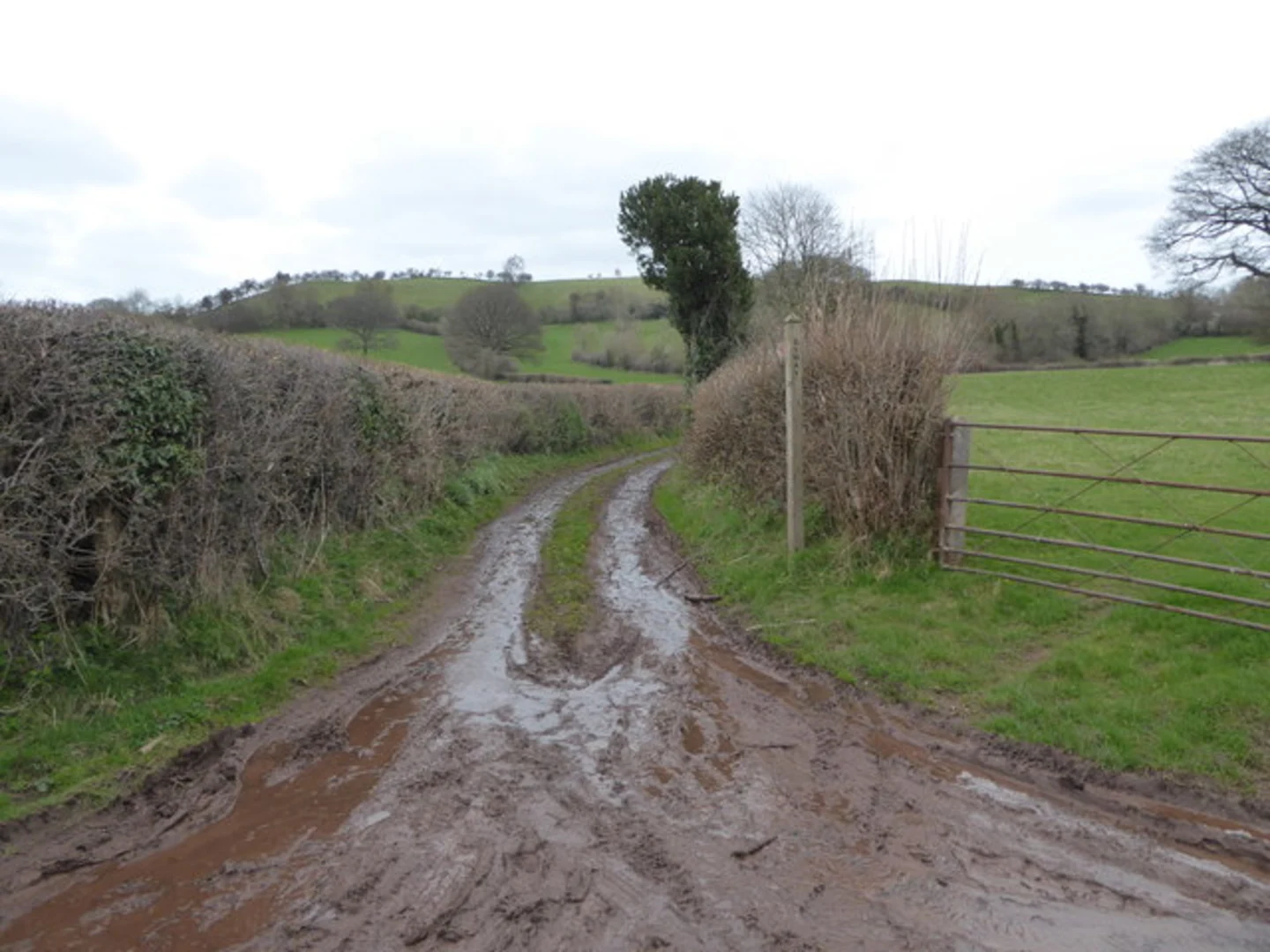 An image depicting the trail Wentnor to Norbury Loop and its surrounding area.