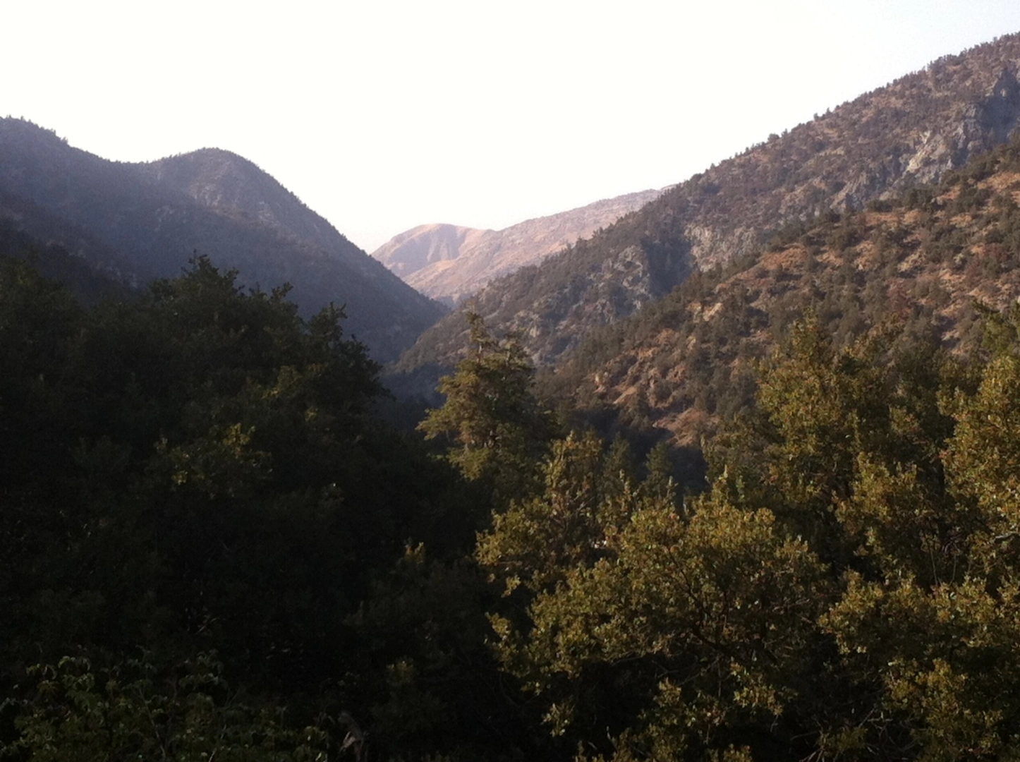 An image depicting the trail Walk along San Emigdio Creek and its surrounding area.
