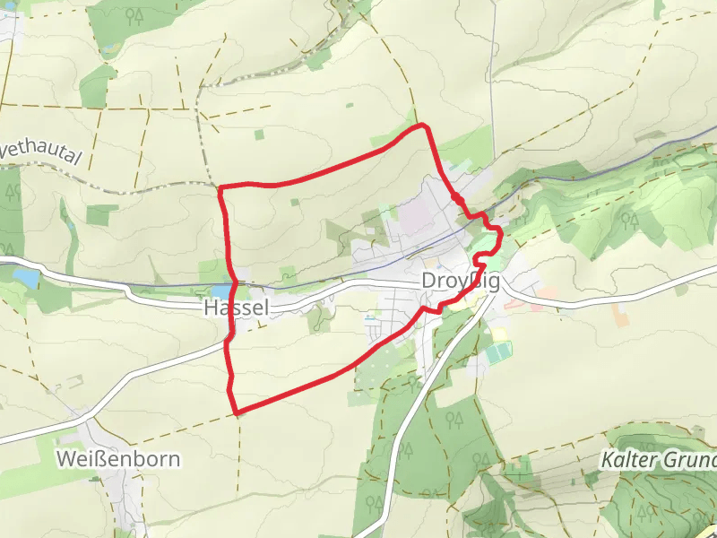 Hasselteich via Rundweg Hassel Droyssig