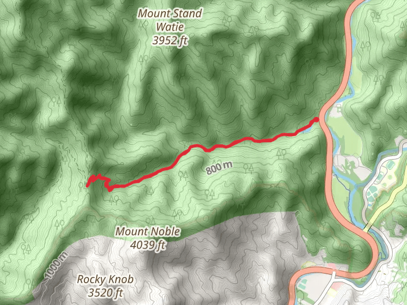 Mingus Creek Short Trail