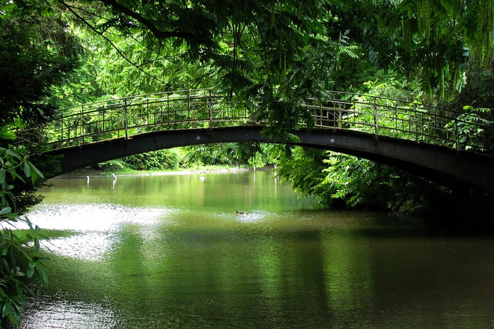 An image depicting the trail Volksgarten, In den Garten and Südpark Loop and its surrounding area.