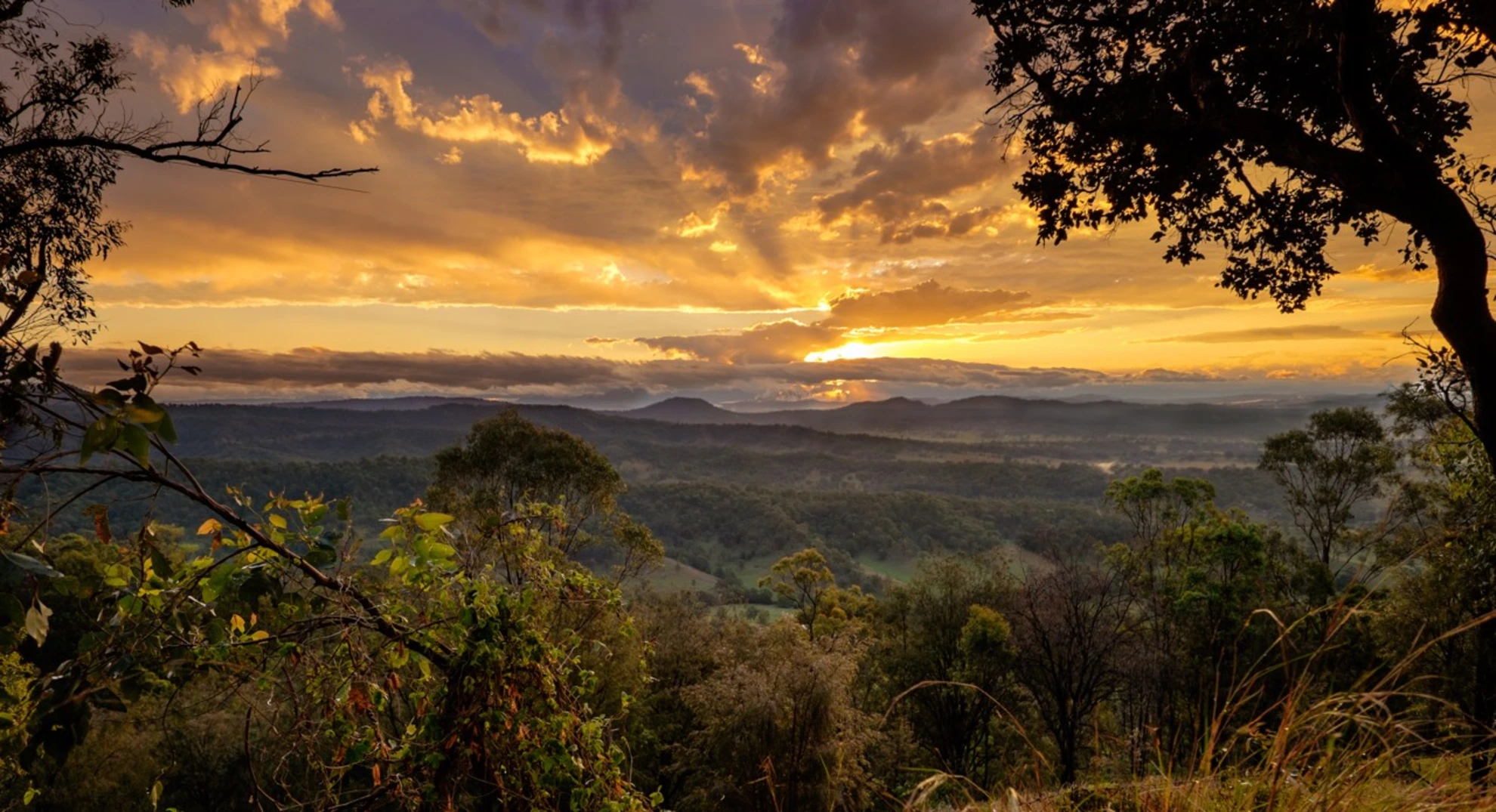 An image depicting the trail Sunshine Coast Great Walk and its surrounding area.
