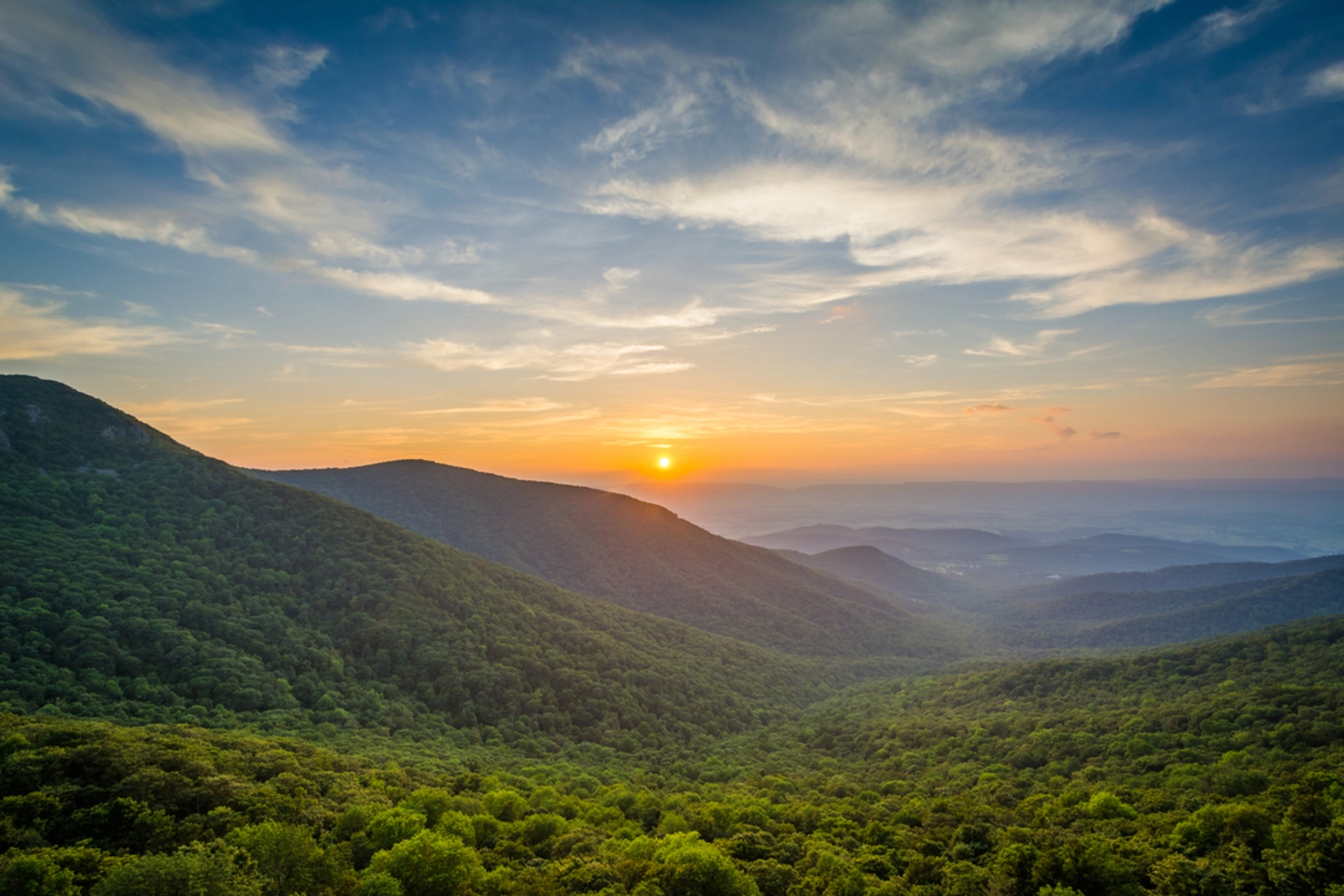 An image depicting the trail Dickey Ridge Trail and its surrounding area.