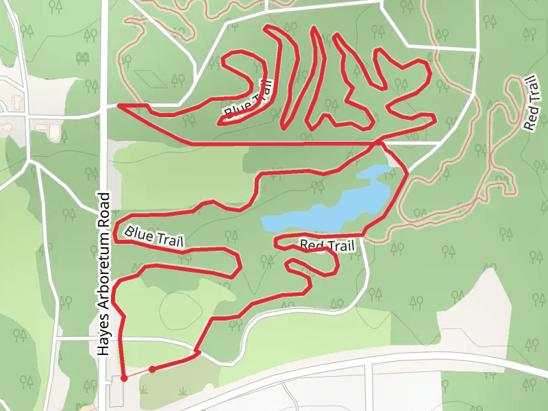 Hayes Arboretum Loop Trail
