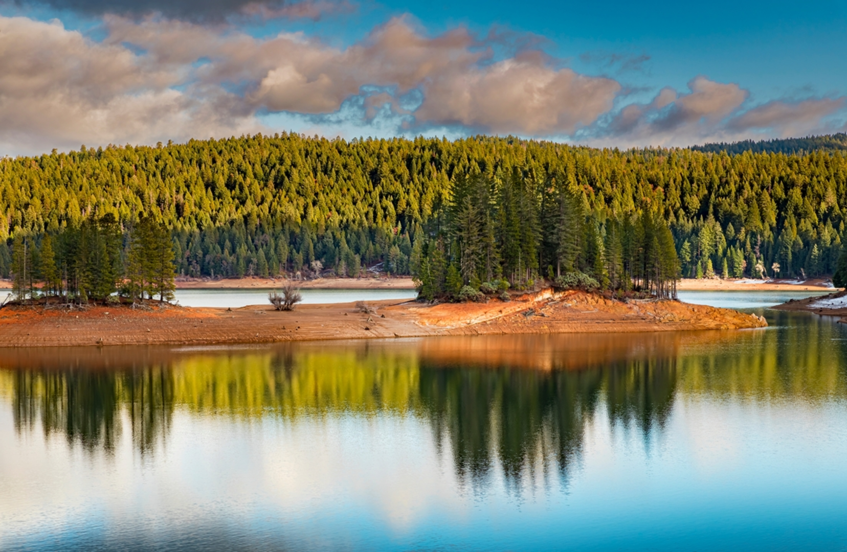 An image depicting the trail Jenkinson Lake Loop and its surrounding area.