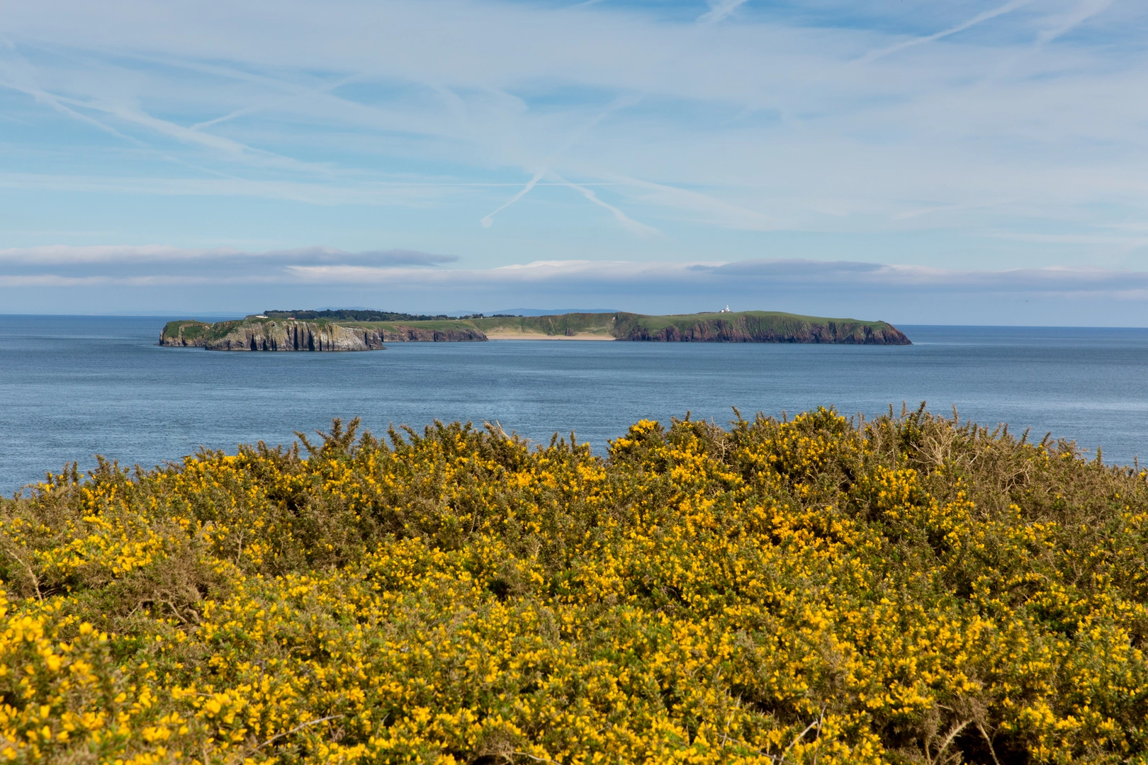 An image depicting the trail Caldey Island - West Cliffs Walk and its surrounding area.