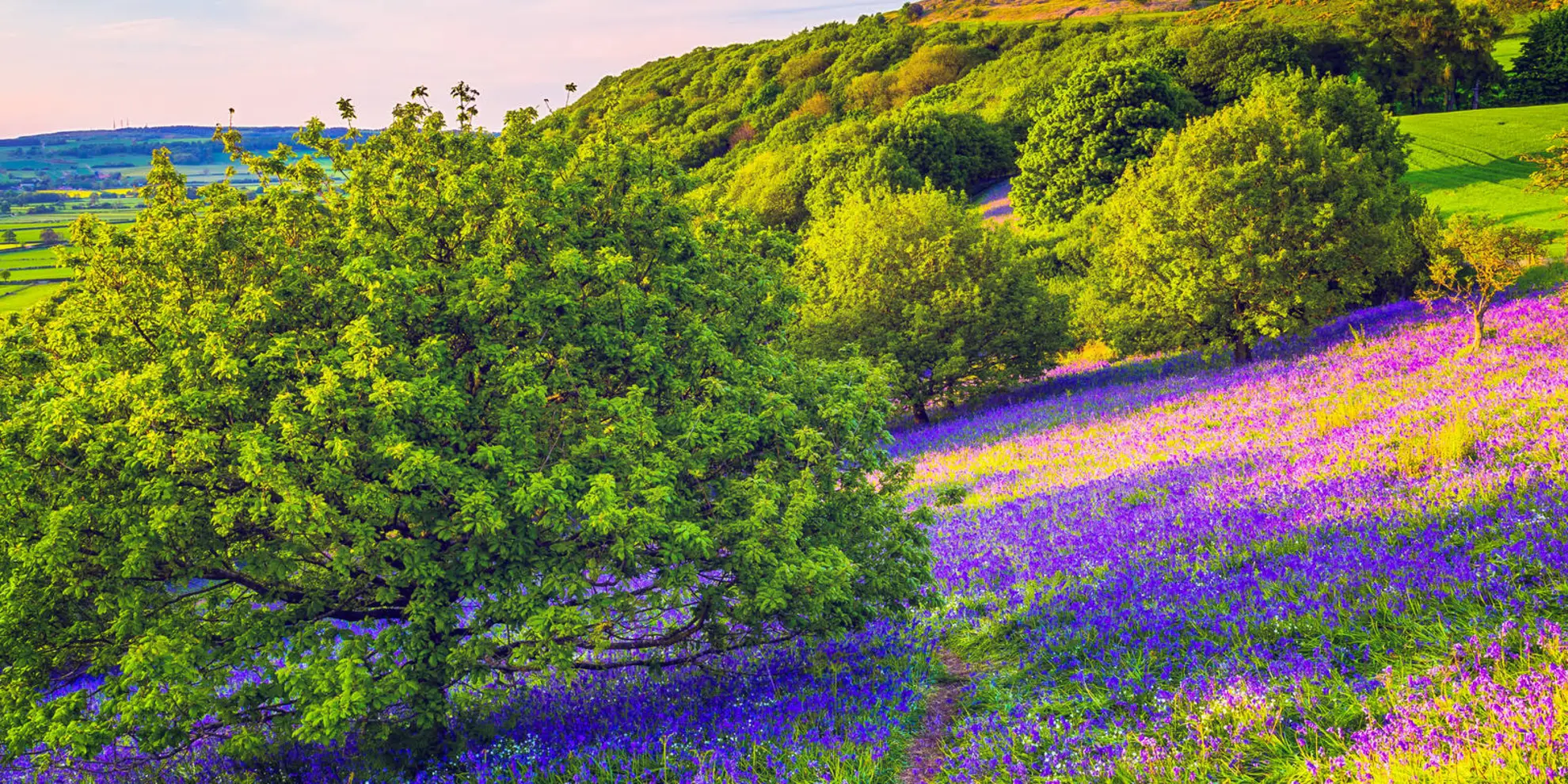An image depicting the trail Roseberry Topping and Captain Cook's Monument and its surrounding area.