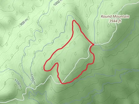 Meadow Loop