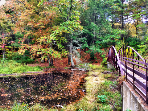 Mattatuck Trail - South