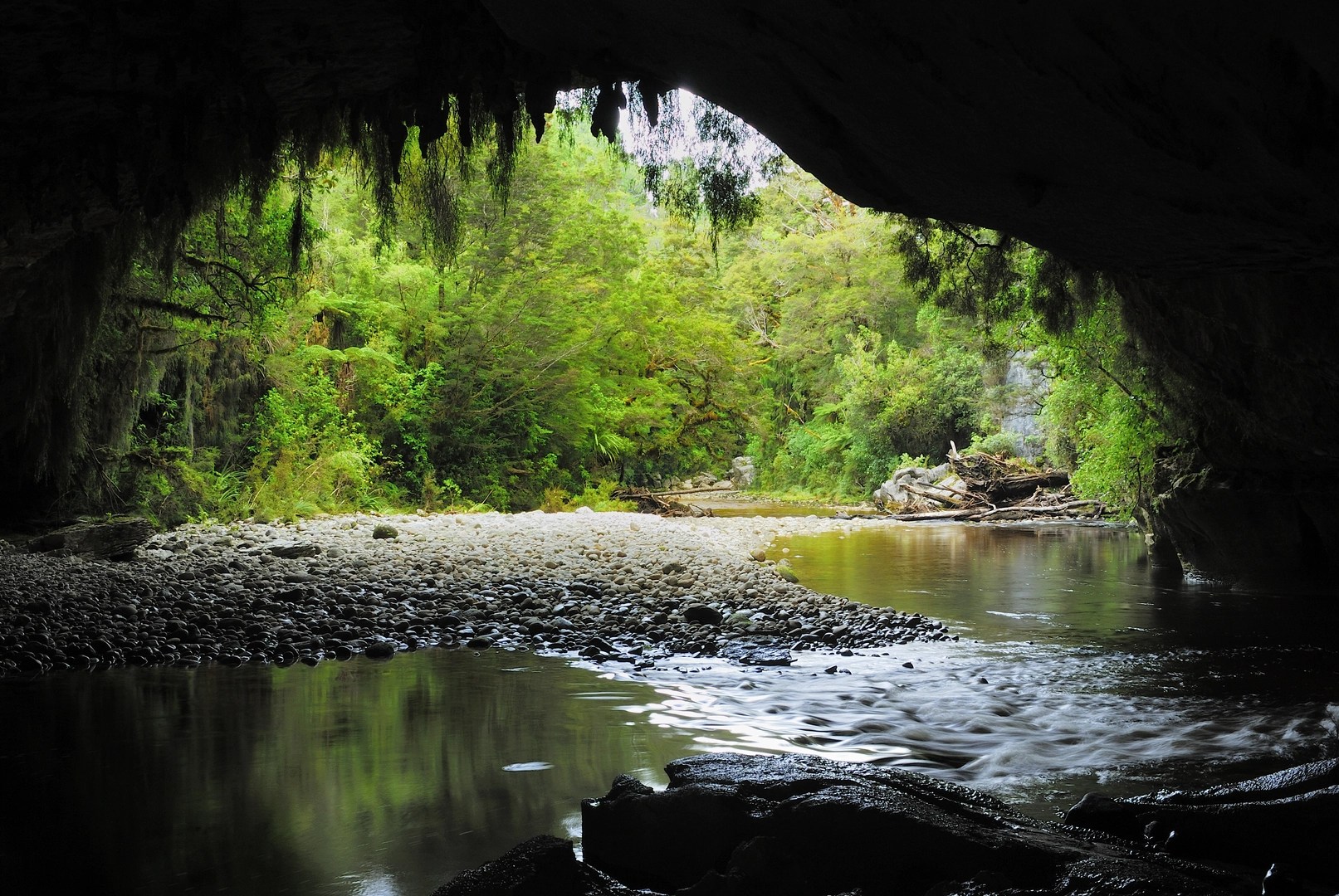 An image depicting the trail Ōpārara Valley Track and its surrounding area.