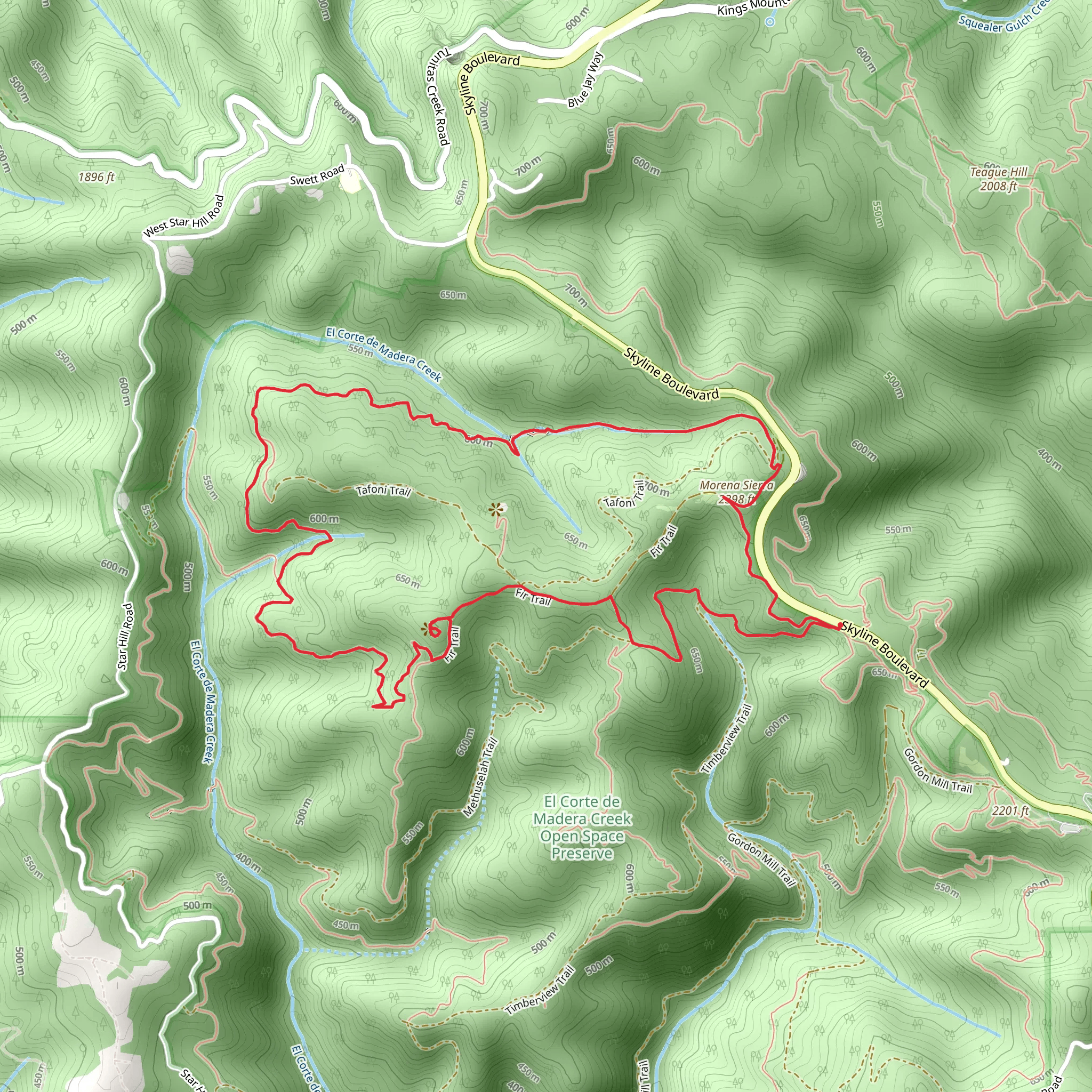Methuselah, Resolution and El Corte de Madera Creek Loop Trail mobile static map