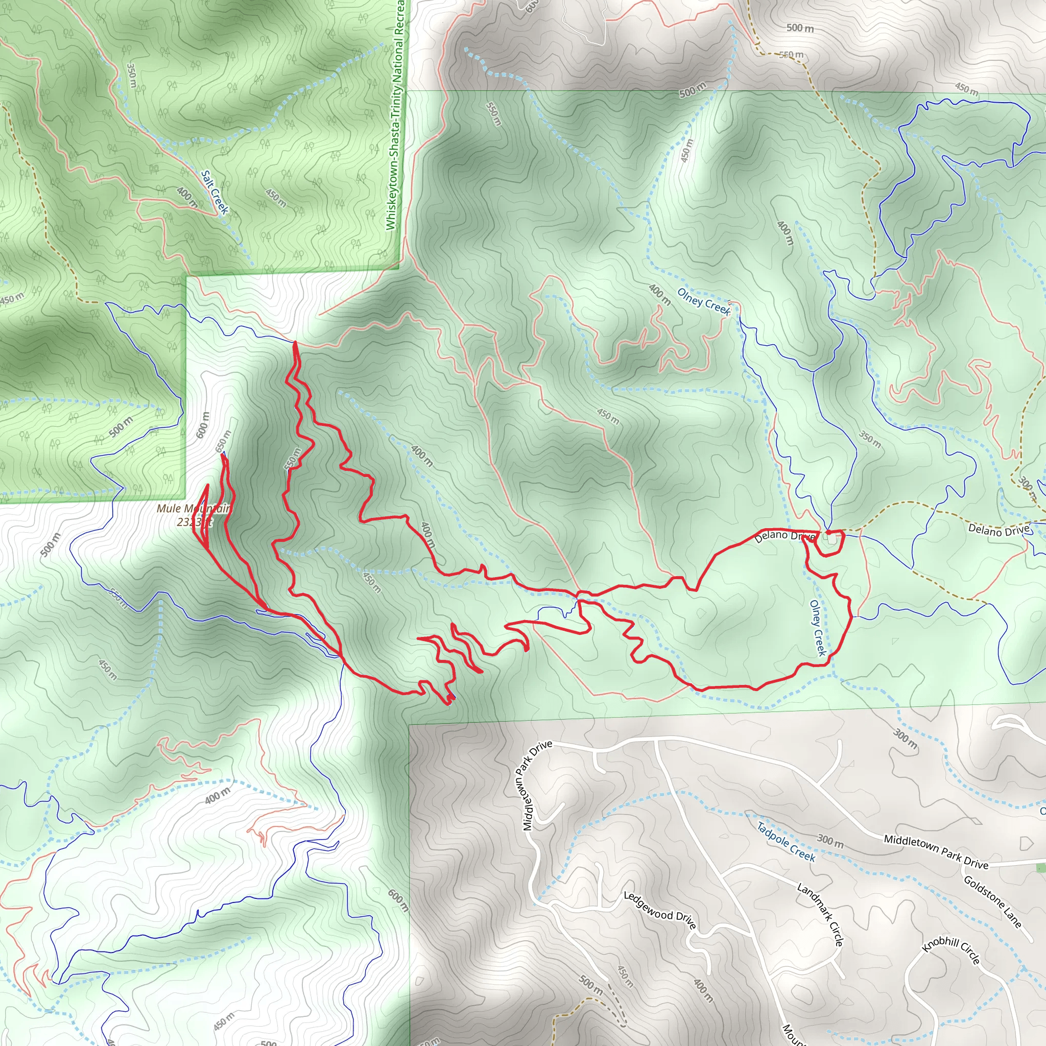 Terminator, Mule Mountain and Snail Loop Trail | Shasta County | Calif