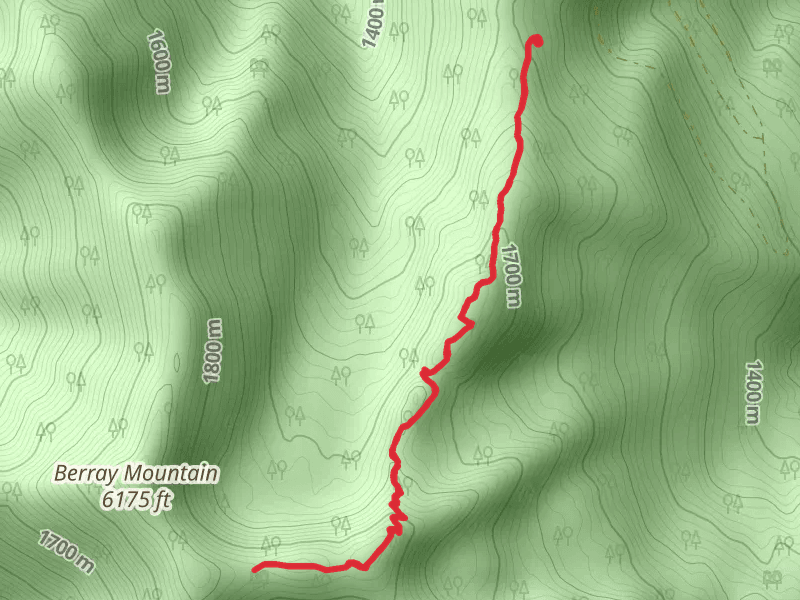 Berray Mountain West Trail