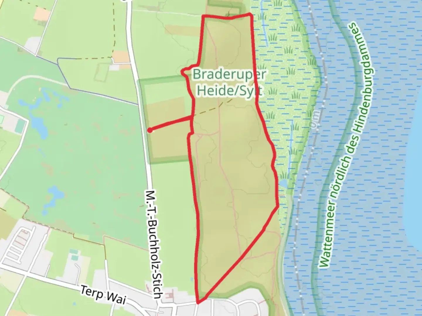 An image depicting the trail Braderuper Heide Loop and its surrounding area.