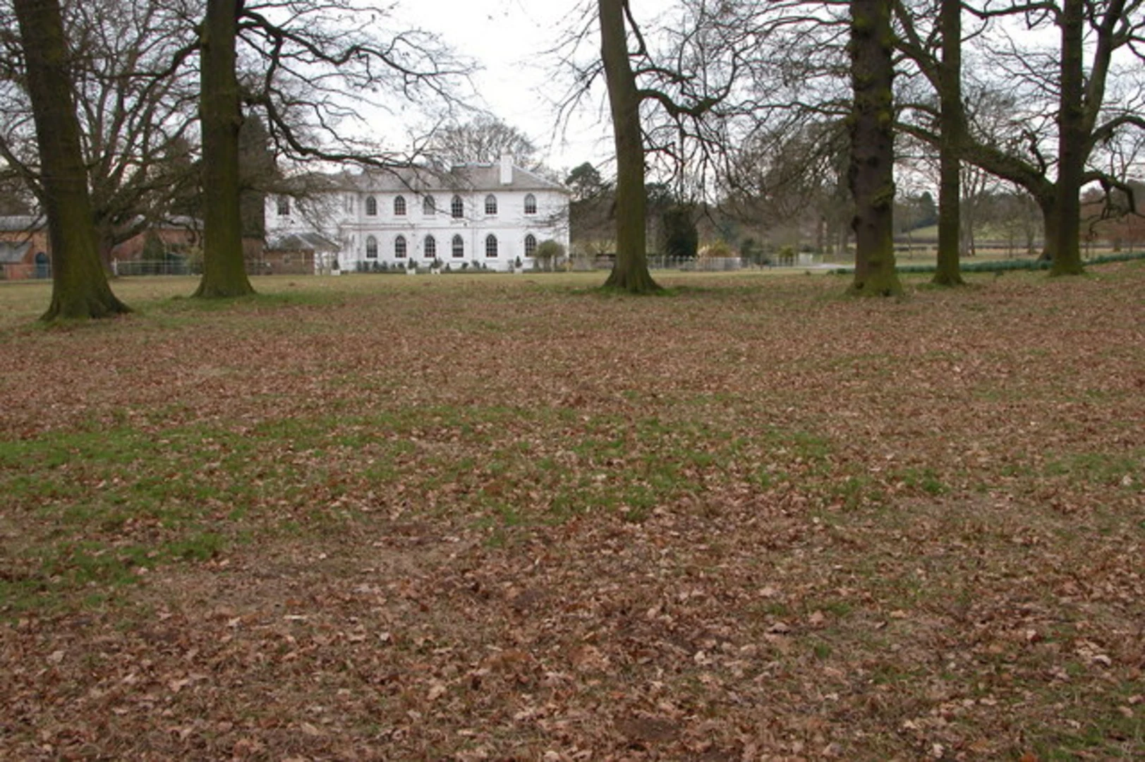An image depicting the trail Shrawley Wood Circular from Shrawley and its surrounding area.