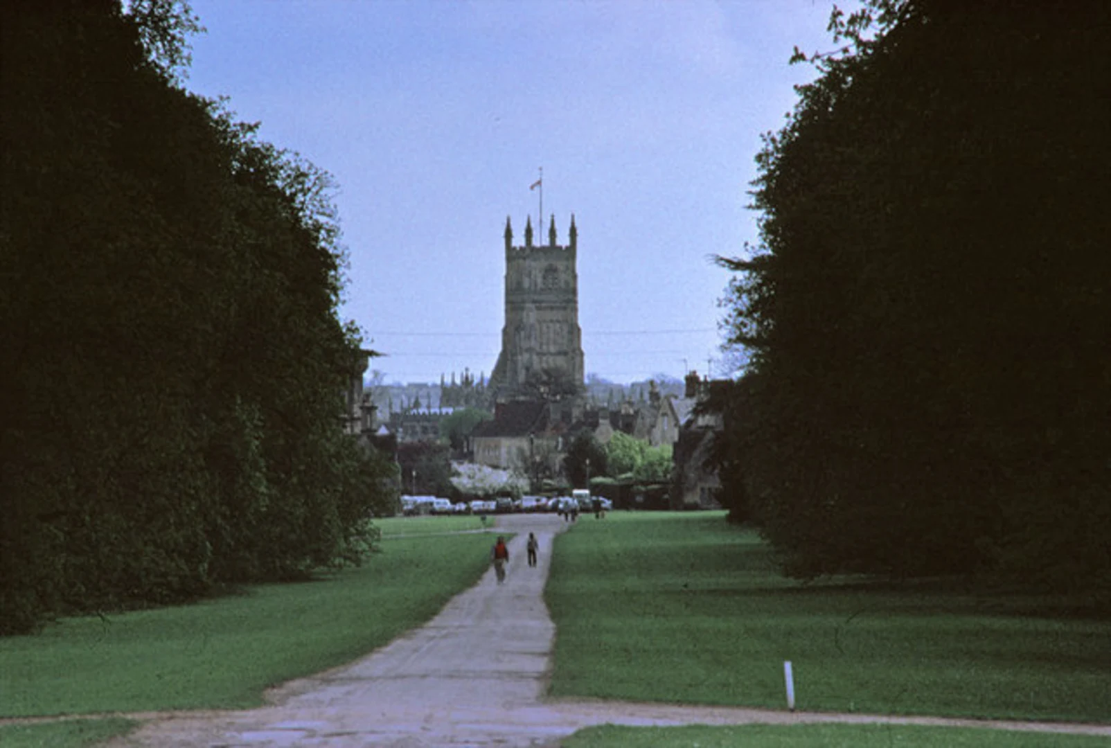 An image depicting the trail Amphitheatre and Cirencester Park Loop via The Lake and its surrounding area.